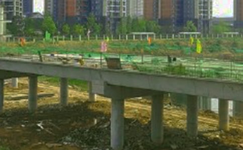 ��ѡ��������300����ƪ