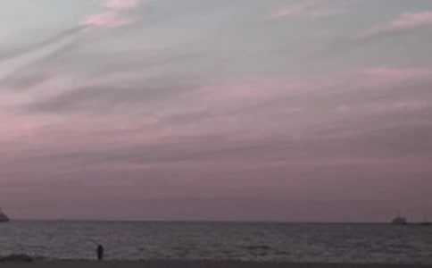 �ػʵ��μ�����11ƪ