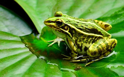 �����ܵ�����300��4ƪ