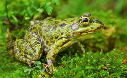 С��������300��[����8ƪ]