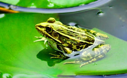 ��ѡ��������������300����ƪ