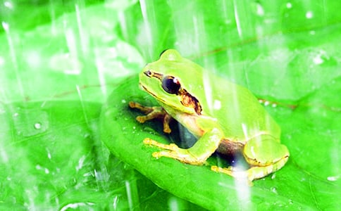 ����������������600��7ƪ