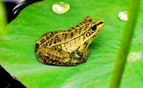 �����������꼶����