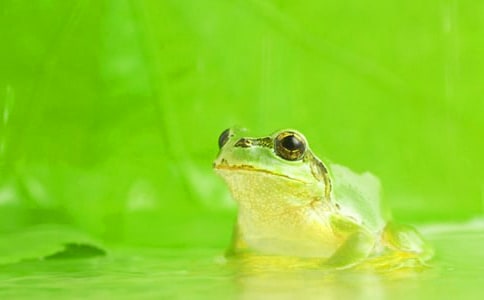 ʵ�õ����ܵ�����300��(ʵ��4ƪ)