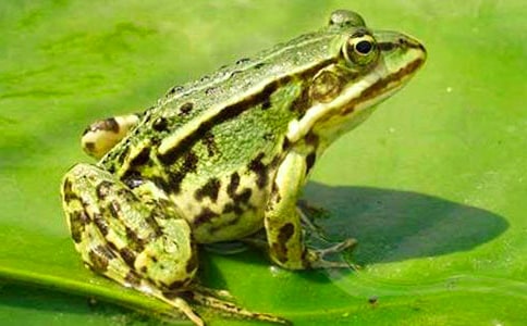 �����������ܵ�����300����ƪ