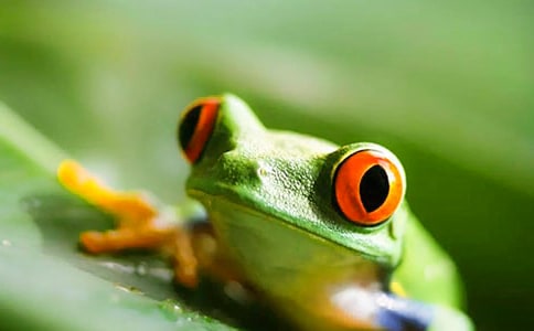 ʵ�õ����ܵ�����300��5ƪ