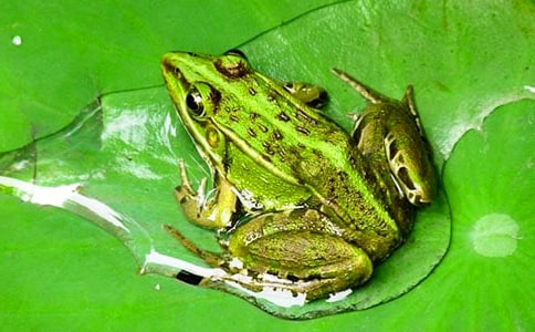 ��ѡ���ܵ�����400��4ƪ