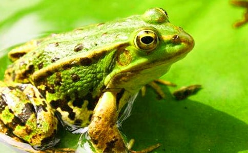 �������ܵ�����350�֣���ѡ10ƪ��