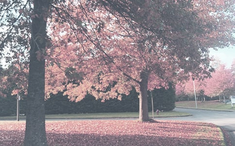 �Ұ��＾300������