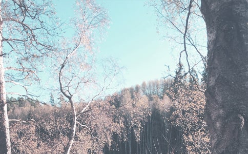 �＾д��������ƪ