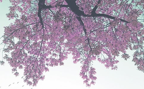 �����＾д�����Ļ��10ƪ