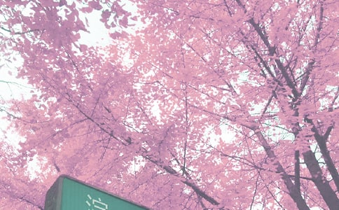 北京秋季高二作文