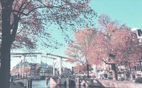 ���꼶�＾����4ƪ