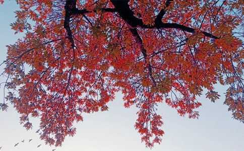 ����ѡ����������400����ƪ