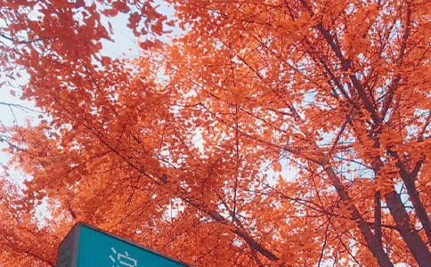 ��������600��