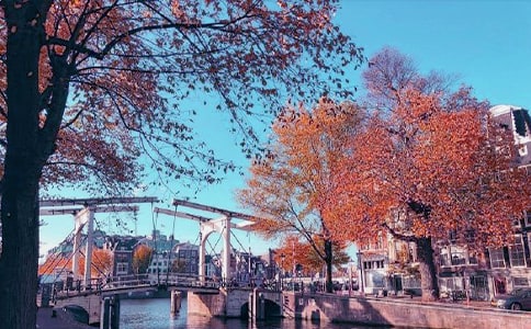 ����д������