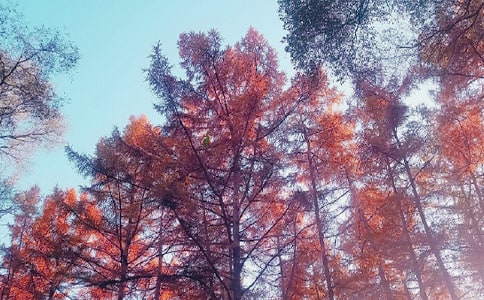 ����Ʒ����������300��3ƪ