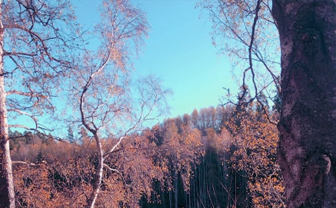 ��������600�־��䣨4ƪ��