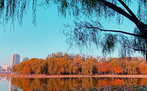 [��]���ռ�������15ƪ