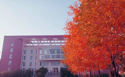 ����Ʒ����������300����ƪ