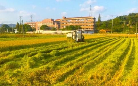 ��ѡ��������300��3ƪ