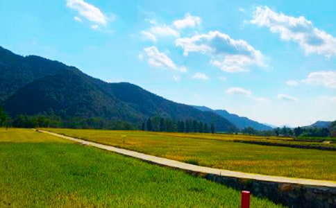 �й����յ�����300��4ƪ