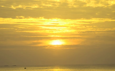 �ճ���������