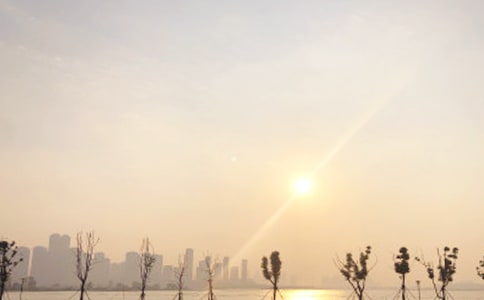 �ճ���������15ƪ(��)