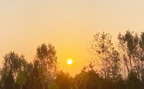 日出即景作文2篇(热门)