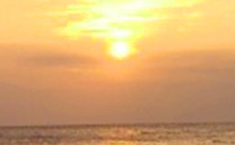 Сѧ��д���������