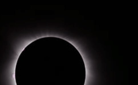 ��ʳСѧ����