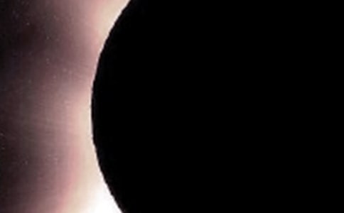 ��ʳСѧ����15ƪ