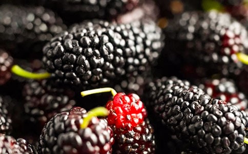 ժɣ�ض��꼶����