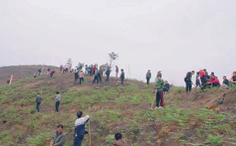 ���ر���Сѧ��ɨĹ����4ƪ