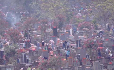 (����)ɨĹ����600��