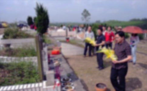 ��ʿɨĹ����600��6ƪ