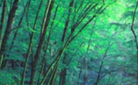 ����������ɭ�ֹ�԰�μ�