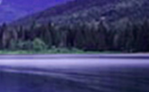 ��ʵ�á�ɽˮ������300����ƪ