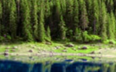 ���ֵ�ɽˮ����600����ƪ