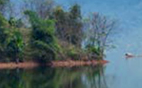 ���ֵ�ɽˮ����300����ƪ