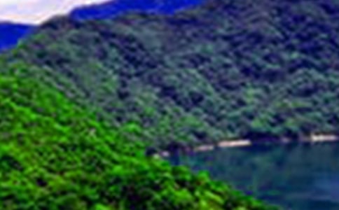 ��ɽˮ����������ʱ�⡣