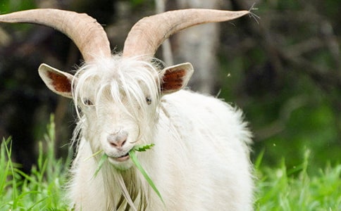 ���ر���ɽ������300��4ƪ