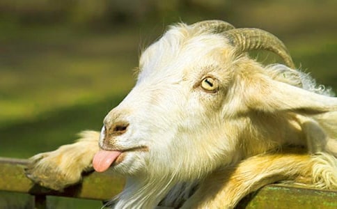 Сɽ�������400��