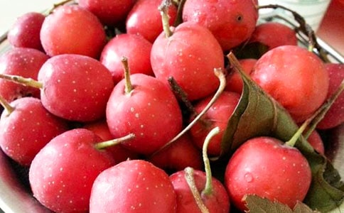 山楂树的状物作文