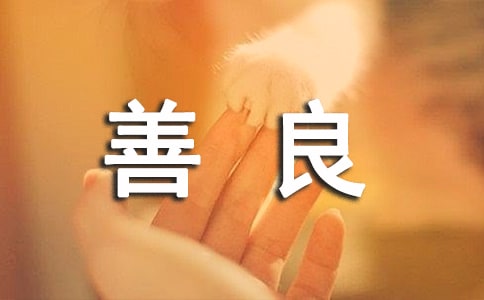 ����ѡ���������������������2ƪ