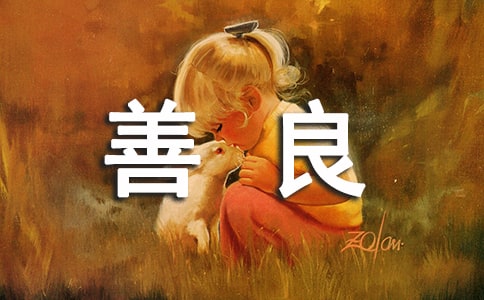 ����ѡ����������300��10ƪ