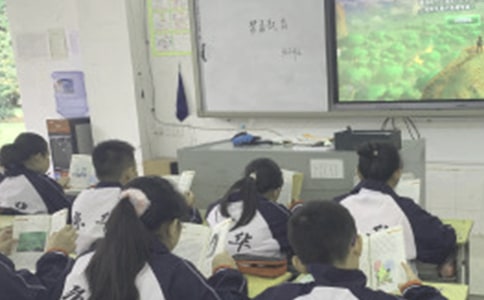 ��ѡ�Ͽ�����300��4ƪ