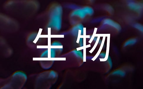 实用的海洋生物作文300字四篇