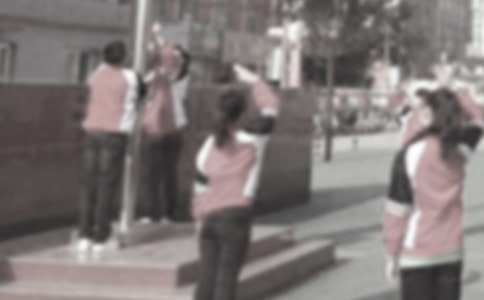 升国旗小学生作文合集七篇