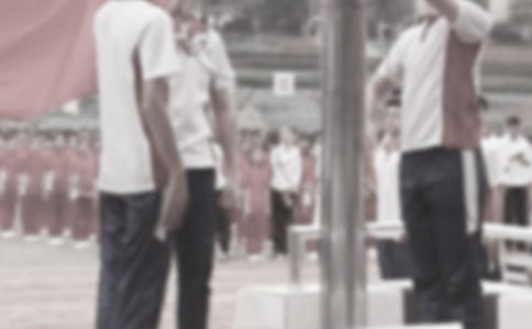 【精华】升国旗小学生作文四篇